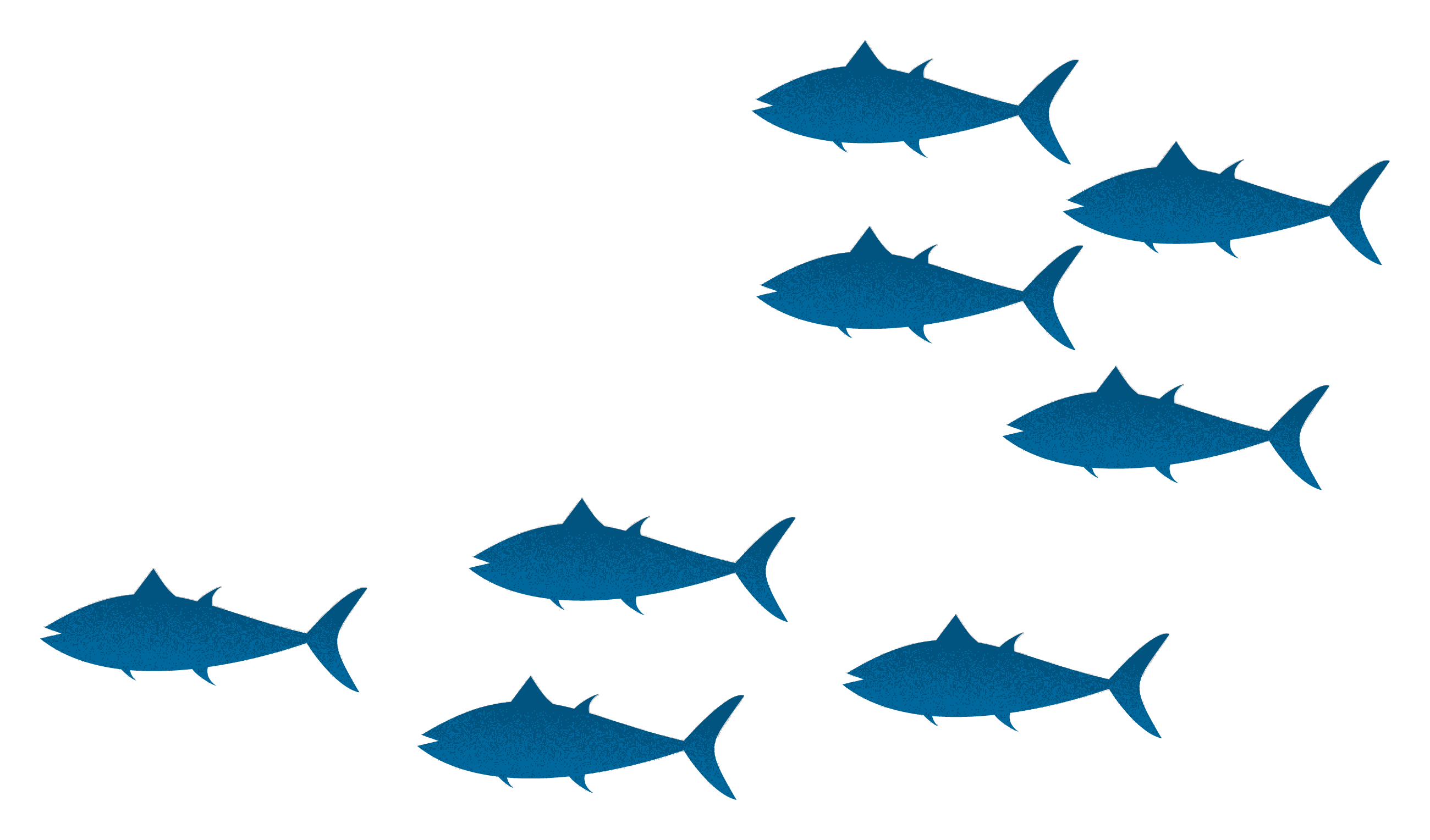 school of fish