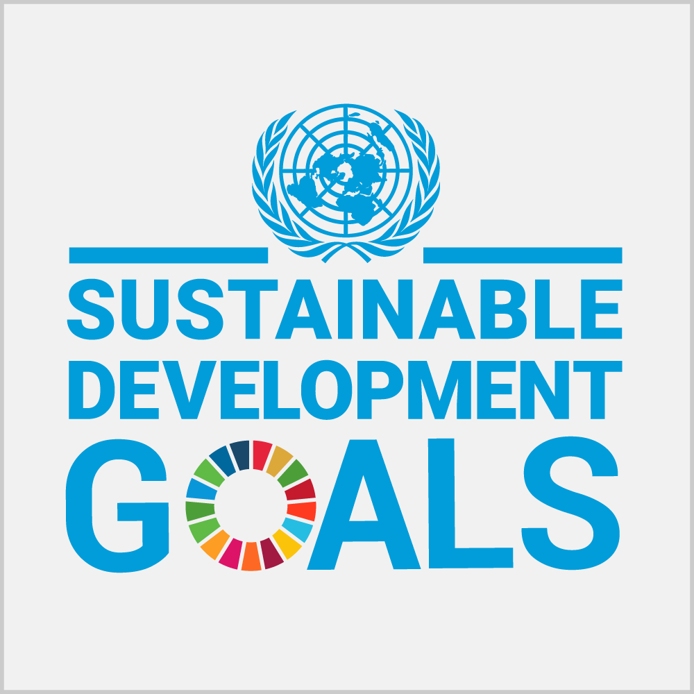 sdg logo