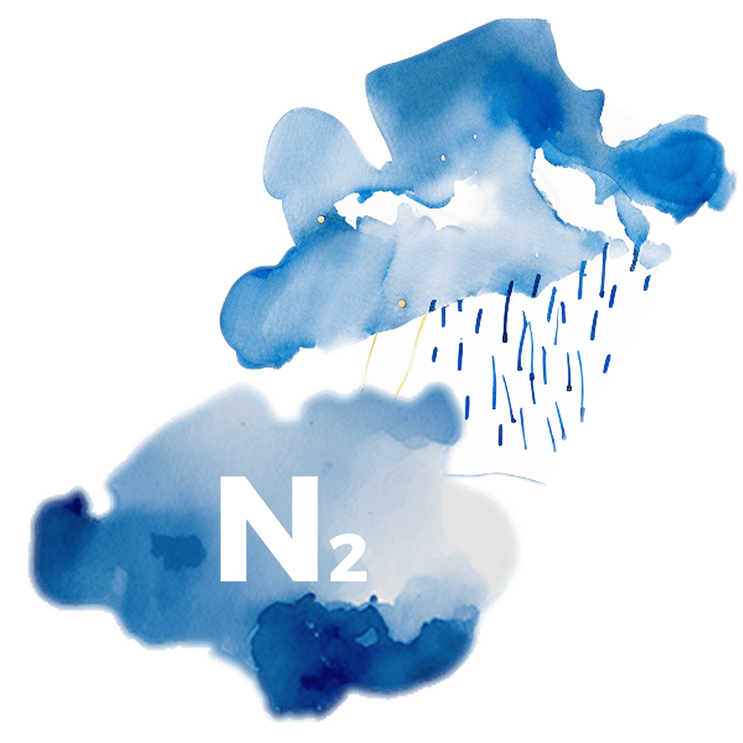 Nitrogen Background